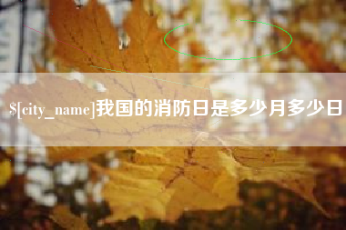 陕西我国的消防日是多少月多少日