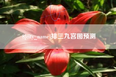 陕西排三九宫图预测