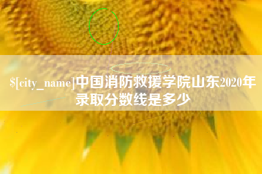 陕西中国消防救援学院山东2020年录取分数线是多少