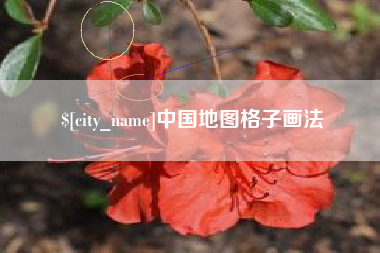 陕西中国地图格子画法