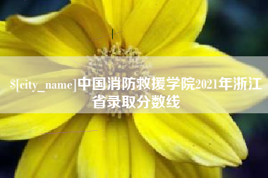 陕西中国消防救援学院2021年浙江省录取分数线