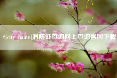 陕西消防证查询网上查询官网下载