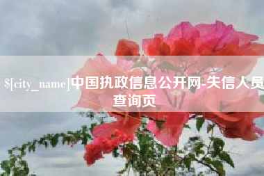 陕西中国执政信息公开网-失信人员查询页