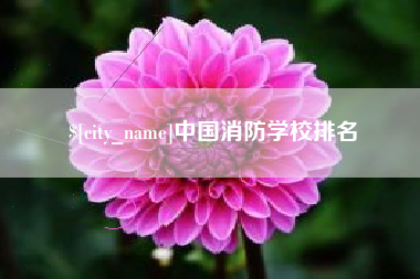 陕西中国消防学校排名