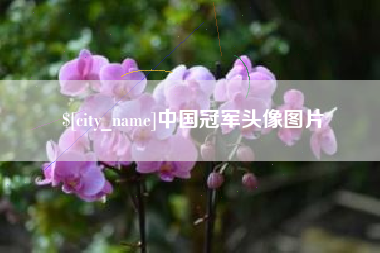 陕西中国冠军头像图片