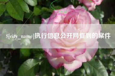 陕西执行信息公开网查到的案件