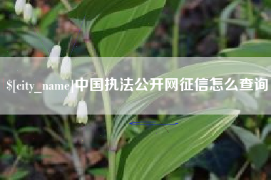 陕西中国执法公开网征信怎么查询