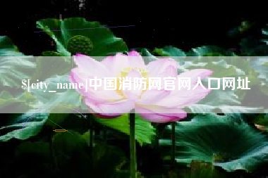 陕西中国消防网官网入口网址