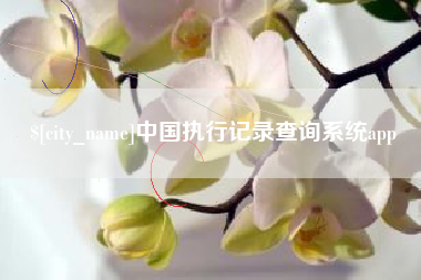 陕西中国执行记录查询系统app