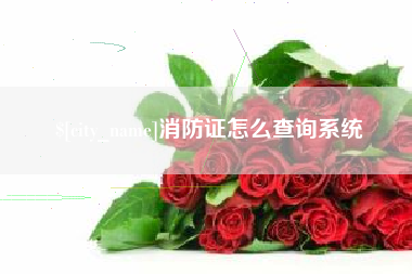 陕西消防证怎么查询系统