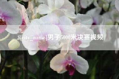 陕西男子5000米决赛视频