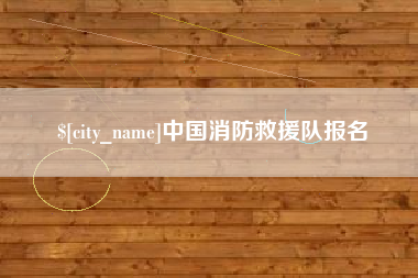 陕西中国消防救援队报名