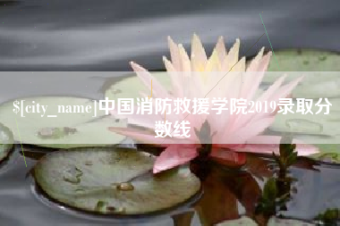 陕西中国消防救援学院2019录取分数线