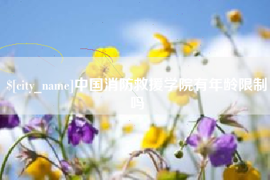 陕西中国消防救援学院有年龄限制吗