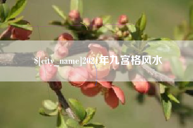 陕西2021年九宫格风水