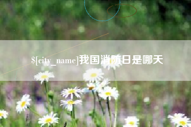 陕西我国消防日是哪天
