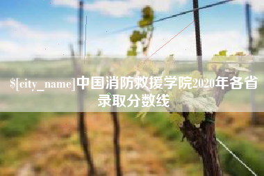 陕西中国消防救援学院2020年各省录取分数线