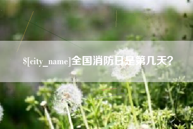 陕西全国消防日是第几天？
