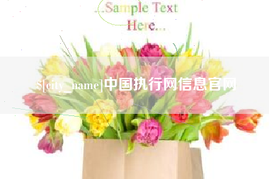 陕西中国执行网信息官网