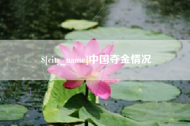 陕西中国夺金情况