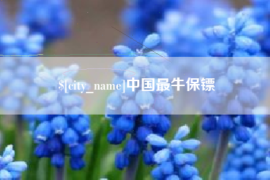 陕西中国最牛保镖