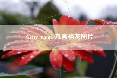 陕西九宫格龙图片
