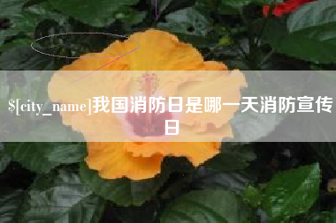 陕西我国消防日是哪一天消防宣传日