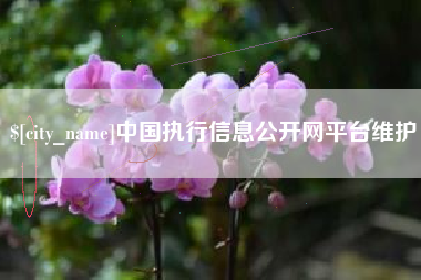 陕西中国执行信息公开网平台维护