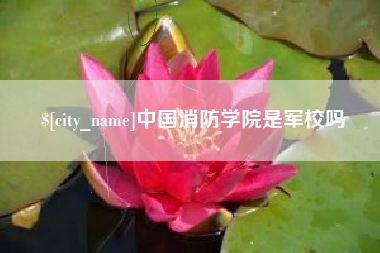 陕西中国消防学院是军校吗