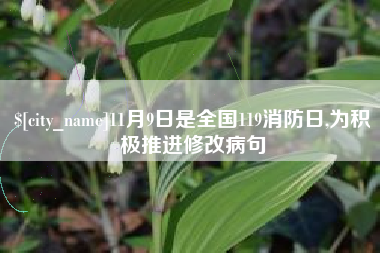 陕西11月9日是全国119消防日,为积极推进修改病句
