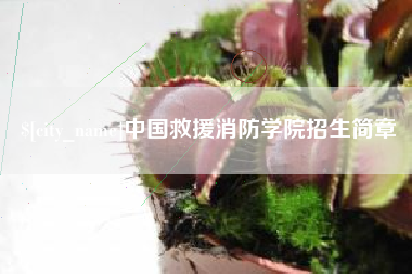 陕西中国救援消防学院招生简章