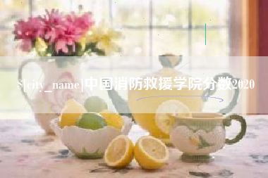 陕西中国消防救援学院分数2020