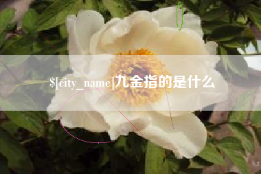 陕西九金指的是什么