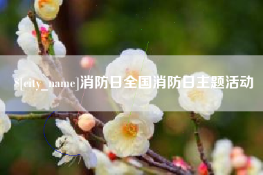 陕西消防日全国消防日主题活动