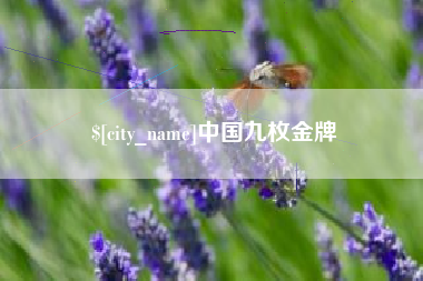 陕西中国九枚金牌