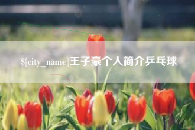 陕西王子豪个人简介乒乓球