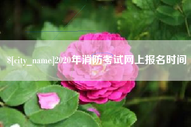 陕西2020年消防考试网上报名时间