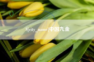 陕西中国九金