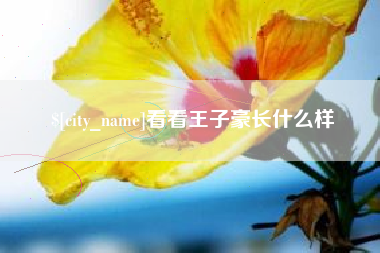 陕西看看王子豪长什么样