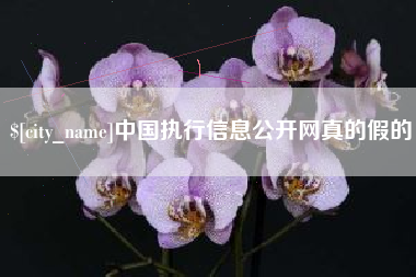 陕西中国执行信息公开网真的假的
