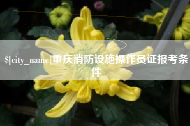 陕西重庆消防设施操作员证报考条件