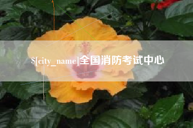 陕西全国消防考试中心