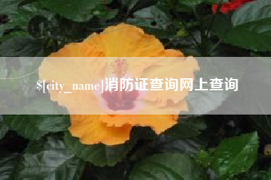 陕西消防证查询网上查询