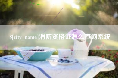 陕西消防资格证怎么查询系统