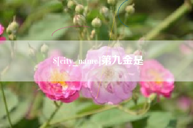 陕西第九金是