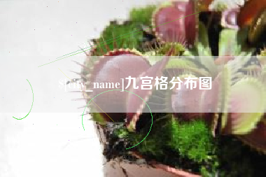 陕西九宫格分布图