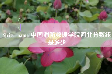 陕西中国消防救援学院河北分数线是多少