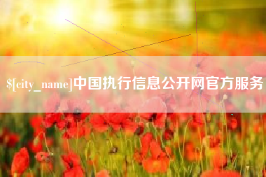 陕西中国执行信息公开网官方服务