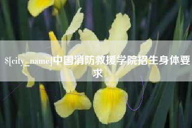 陕西中国消防救援学院招生身体要求