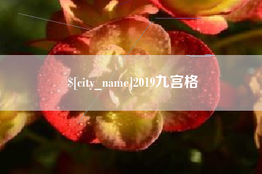 陕西2019九宫格
